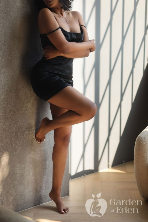 Maya Pleroma